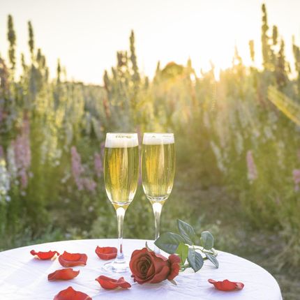 Zakito Posters Plakat 30x30cm Kieliszki do szampana i kosz kwiatów na stole w polu przy zachodzie słońca Assaf Frank