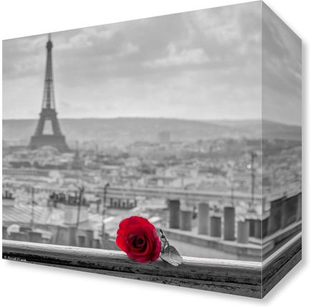 Zakito Posters Obraz 20x20cm Róża na poręczy balkonu z wieżą Eiffla w tle Assaf Frank