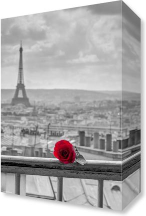 Zakito Posters Obraz 20x30cm Róża na poręczy balkonu z wieżą Eiffla w tle Assaf Frank