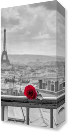 Zakito Posters Obraz 20x40cm Róża na poręczy balkonu z wieżą Eiffla w tle Assaf Frank