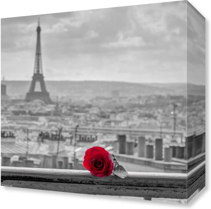 Zakito Posters Obraz 30x30cm Róża na poręczy balkonu z wieżą Eiffla w tle Assaf Frank