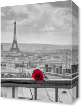 Zakito Posters Obraz 30x40cm Róża na poręczy balkonu z wieżą Eiffla w tle Assaf Frank
