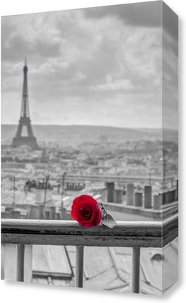 Zakito Posters Obraz 30x50cm Róża na poręczy balkonu z wieżą Eiffla w tle Assaf Frank