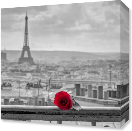 Zakito Posters Obraz 40x40cm Róża na poręczy balkonu z wieżą Eiffla w tle Assaf Frank
