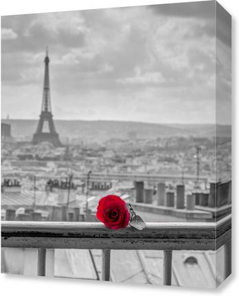 Zakito Posters Obraz 40x50cm Róża na poręczy balkonu z wieżą Eiffla w tle Assaf Frank