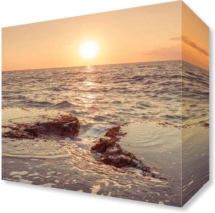 Zakito Posters Obraz 20x20cm Zachód słońca na plaży Assaf Frank