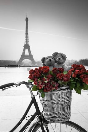 Zakito Posters Plakat 20x30cm Misie i wiązanka czerwonych róż na rowerze z wieżą Eiffla w tle Assaf Frank