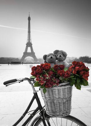 Zakito Posters Plakat 20,5x28,4cm Misie i wiązanka czerwonych róż na rowerze z wieżą Eiffla w tle Assaf Frank