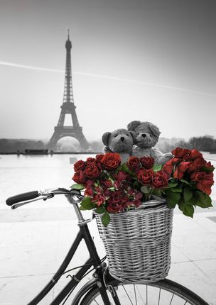 Zakito Posters Plakat 29,7x42cm Misie i wiązanka czerwonych róż na rowerze z wieżą Eiffla w tle Assaf Frank