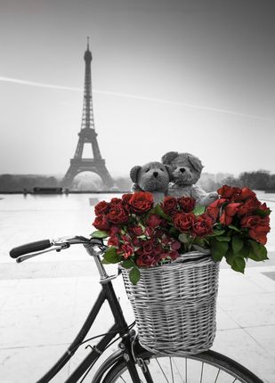 Zakito Posters Plakat 39,5x55cm Misie i wiązanka czerwonych róż na rowerze z wieżą Eiffla w tle Assaf Frank