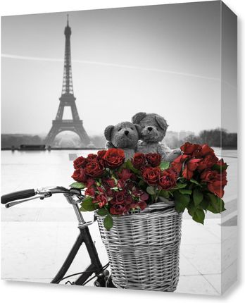 Zakito Posters Obraz 40x50cm Misie i wiązanka czerwonych róż na rowerze z wieżą Eiffla w tle Assaf Frank