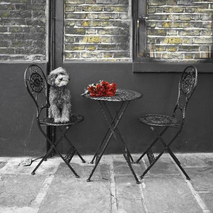 Zakito Posters Plakat 30x30cm Pies siedzący na krześle z pękiem róż na stole Assaf Frank