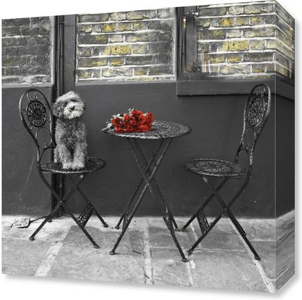 Zakito Posters Obraz 40x40cm Pies siedzący na krześle z pękiem róż na stole Assaf Frank