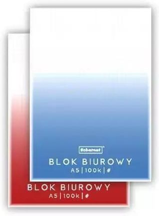 Schemat Blok Biurowy A5 100K Kratka 5szt.