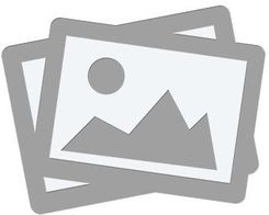 Zdjęcie Febi Bilstein Łańcuch Napędu Pompy Oleju 180030 - Piastów