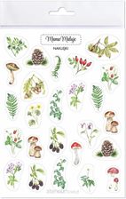 Zdjęcie Ateneum Naklejki Leśne Botaniczne - Szczawno-Zdrój