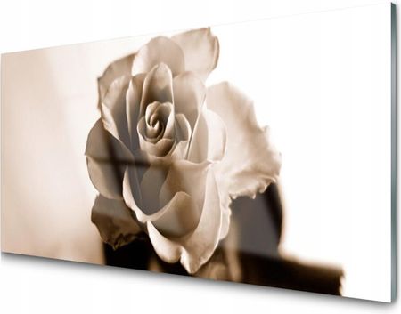 Tulup Obraz Na Szkle Szklany Róża Kwiat Roślina 100X50