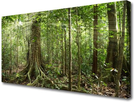 Tulup Obraz Na Płótnie Las Natura Dżungla Drzewa 140X70