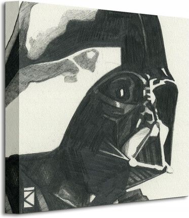 Pyramid International Star Wars Darth Vader Obraz Na Płótnie 30X30 Cm