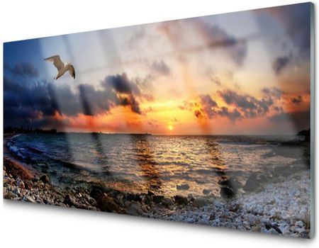 Tulup Obraz Na Szkle Mewa Morze Plaża Krajobraz 100X50