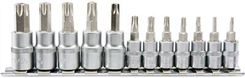 Zdjęcie NASADKI TORX SECURITY 12CZ 1/4 3/8 YATO YT-04332 - Borek Wielkopolski