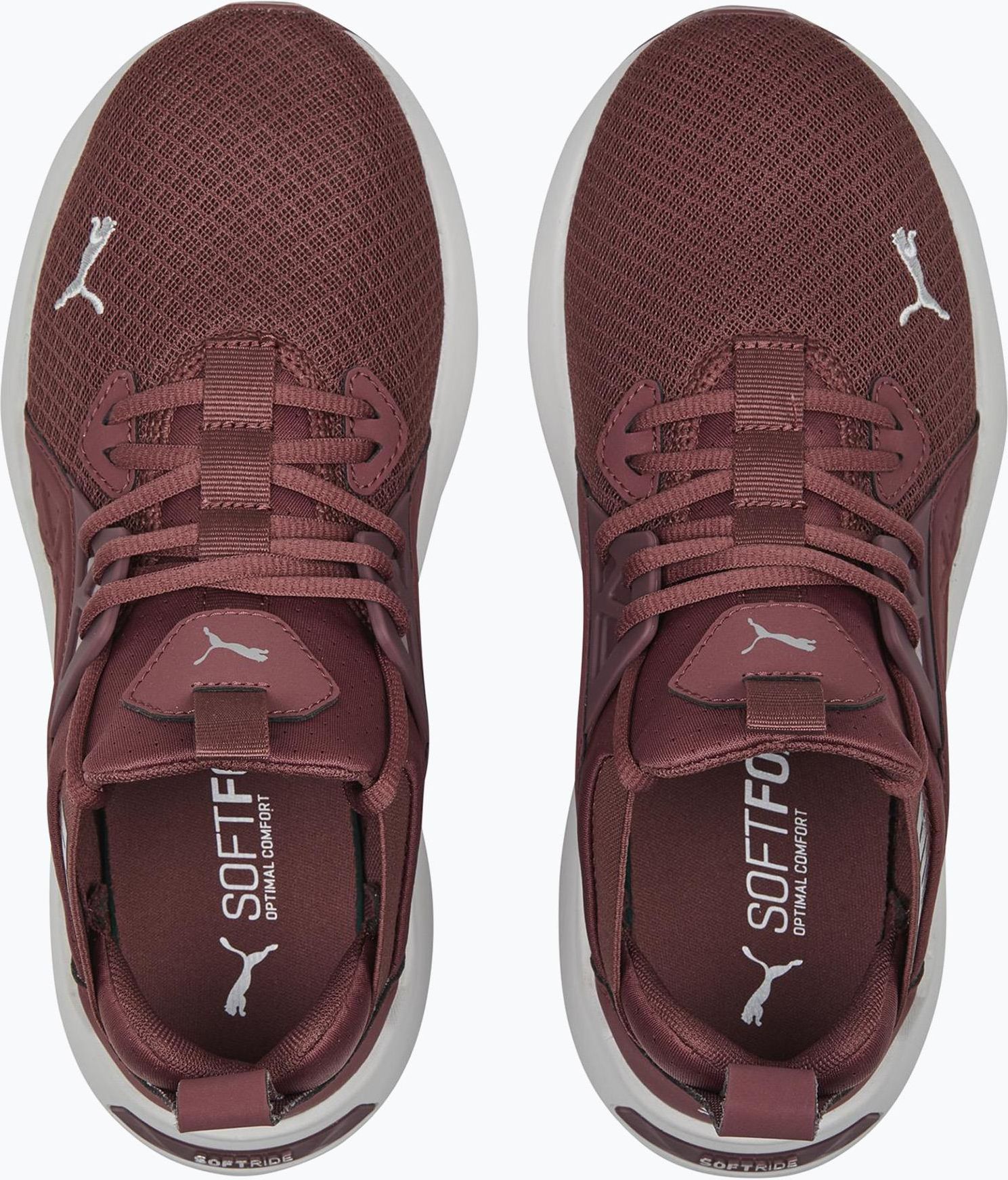 Puma Damskie Softride Enzo Nxt Bordowe 195235 - Ceny i