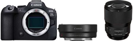 Canon EOS R6 Mark II + adapter Canon EOS R Mount EF-EOS R + Sigma A 135mm f/1.8 DG HSM