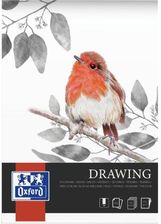 Zdjęcie Oxford Blok Artystyczny Rysunkowy A4 25K 200G Klejony 400166121 - Płoty