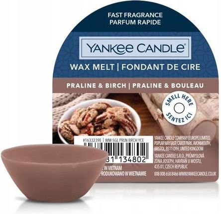 Yankee Candle PRALINE & BIRCH wosk zapachowy 22 g