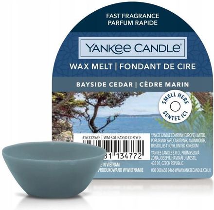 Yankee Candle BAYSIDE CEDAR wosk zapachowy 22 g