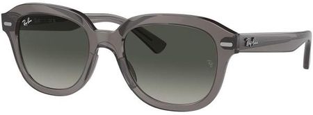 Ray-Ban RB4398 667571 L (53)