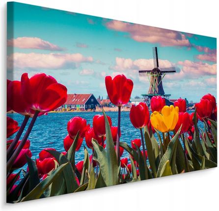 Wallepic Obraz Kwiaty Tulipany Wiatrak Krajobraz 3D 120X80
