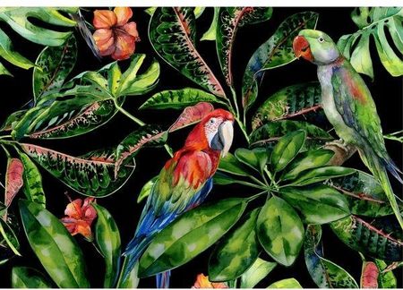 Dekoria Obraz Na Płótnie Tropical Birds 100X70