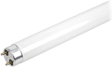 N'Oveen Świetlówka UV do lampy owadobójczej IKN12 6W (LOS6)
