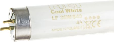 Philips Świetlówka G13 36W 840 4000K LF80 Cool White 1SL/25  (8727900961775)