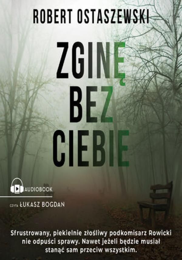 Zginę Przez Ciebie Nim Zginę Krzyknę że Ginę Przypadkiem Zginę bez ciebie mp3 - Ceny i opinie - Ceneo.pl
