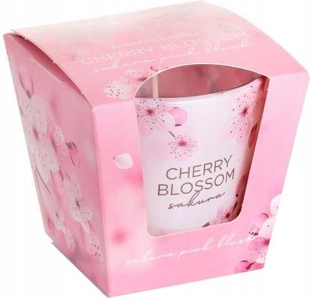 Artman Bartek Świeca Cherry Blossom Sakura Pink Blush 115 f62266a4-e0f9-4876-9eeb-1d2bec7bbd7b