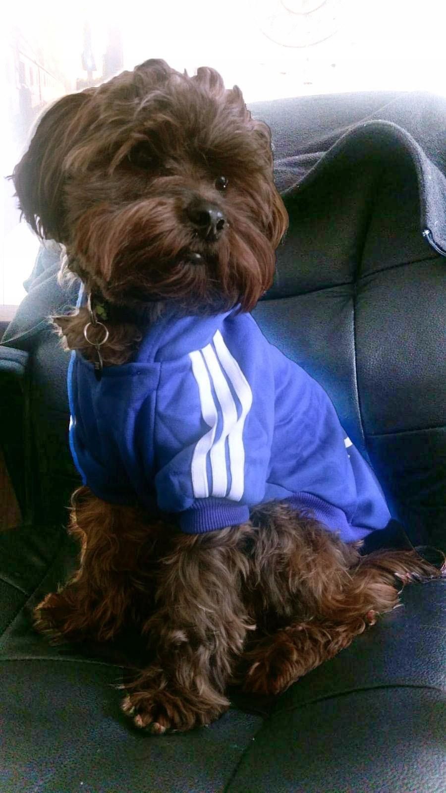 ab2049d6-7966-44e7-bf41-