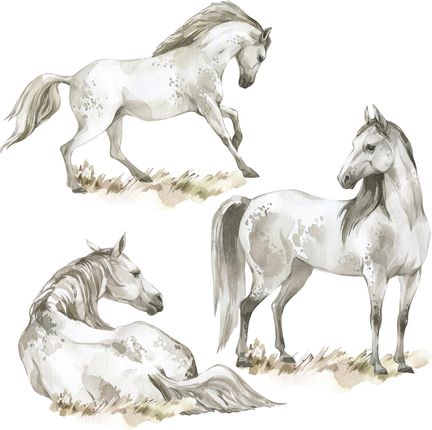 Naklejka na ścianę zwierzęta - dzikie konie - MagicalRoom®