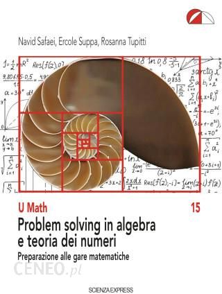 problem solving in algebra e teoria dei numeri