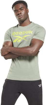 Męska Koszulka z krótkim rękawem Reebok RI Big Logo Tee Hs4978 – Szary