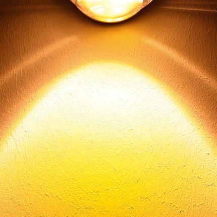 Top Light filtr barwny do lamp Focus/Box 2-630