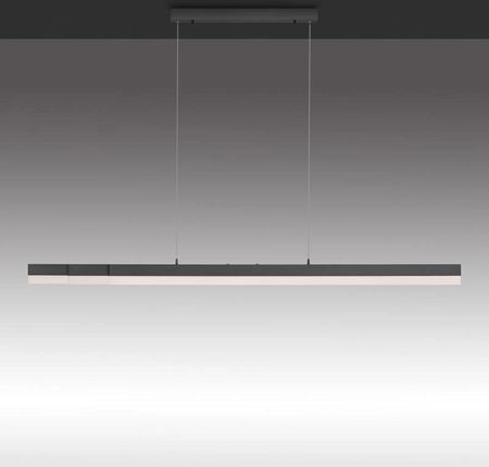 Paul Neuhaus Sina lampa wisząca LED ze ściemniaczem i CCT 2585-13