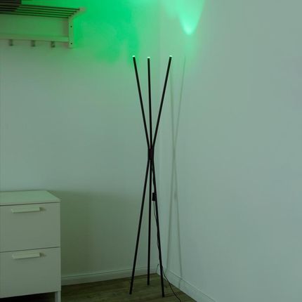 Paul Neuhaus Q-Peter RGBW lampa stojąca LED ze ściemniaczem i CCT 338-13