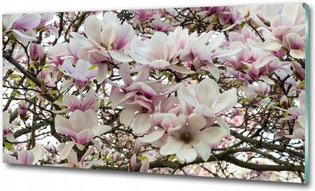 Tulup Fotoobraz Na Ścianę Szklany Kwiaty Magnolii 100X50