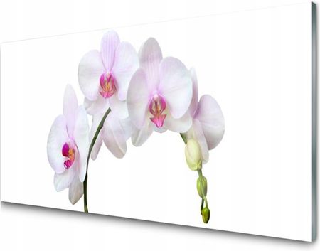 Tulup Obraz Na Szkle Storczyk Orchidea Kwiaty 100X50
