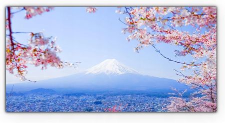 Coloray Obraz Płótno Z Foto 100X50 Japonia Wiśnia Kwiaty