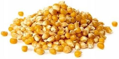 Dobry Orzech Popcorn Kukurydza Do Prażenia Ziarno Bez Soli 2kg