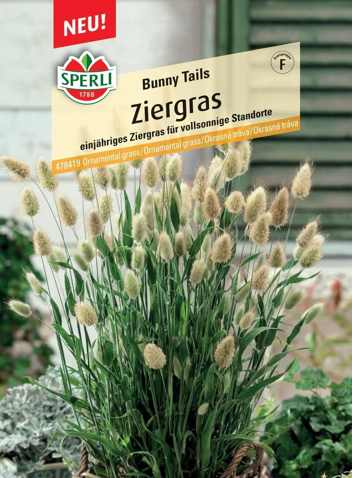 Trawa Ozdobna Bunny Tails Nasiona Premium Sperli Ceny i opinie Ceneo.pl