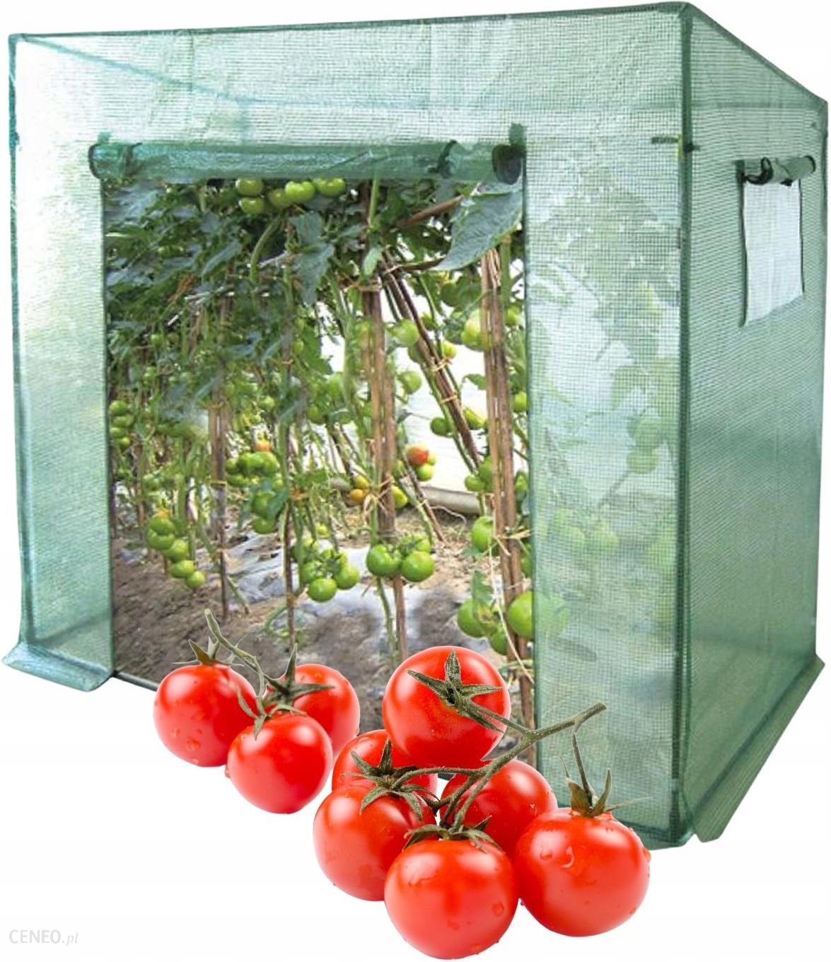 mały tunel na pomidory